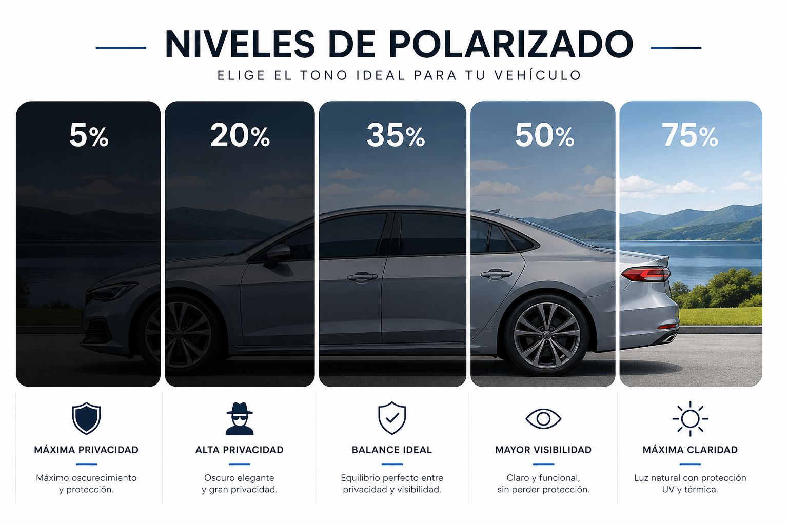 Niveles de polarizado